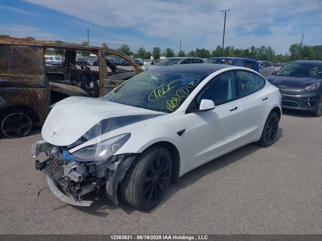 Tesla MODEL 3 2023 5YJ3E1EA4PF484403 Image 2