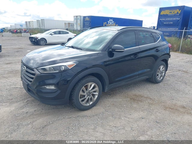 Hyundai Tucson 2016 KM8J3CA46GU021724 Image 2