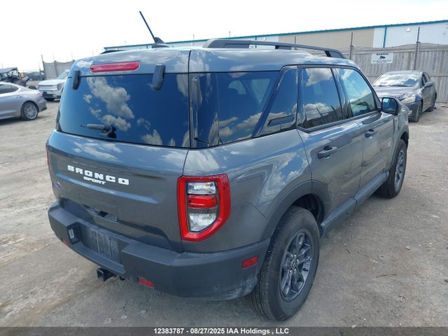 3FMCR9B67RRE93919 Ford dragon