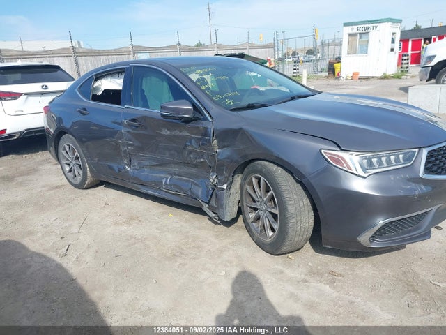 Acura k24w7 2019 19UUB1F51KA800910 Image 12