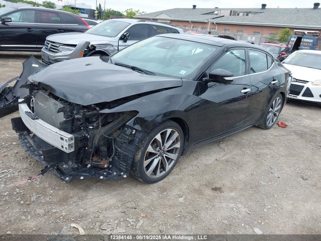 1N4AA6AV0KC379118 Nissan Maxima