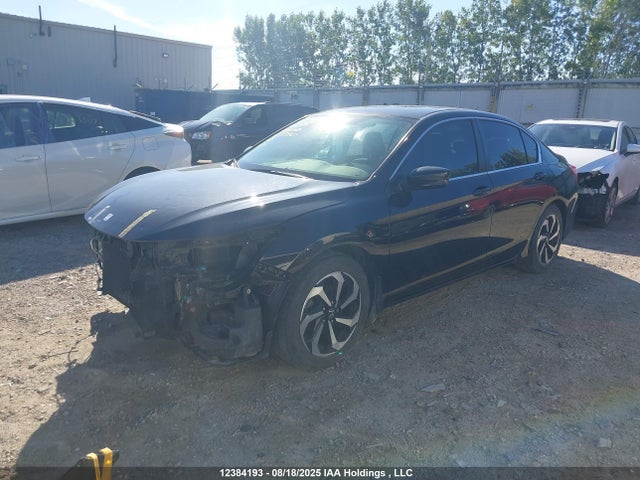 1HGCR2F33HA810567 Honda k24w1