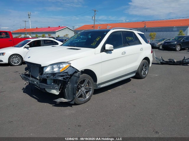 Mercedes-Benz Ml-Class 2014 4JGDA2EB2EA357410 Image 2