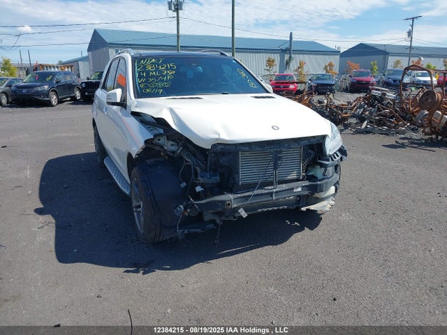 Mercedes-Benz Ml-Class 2014 4JGDA2EB2EA357410 Image 6