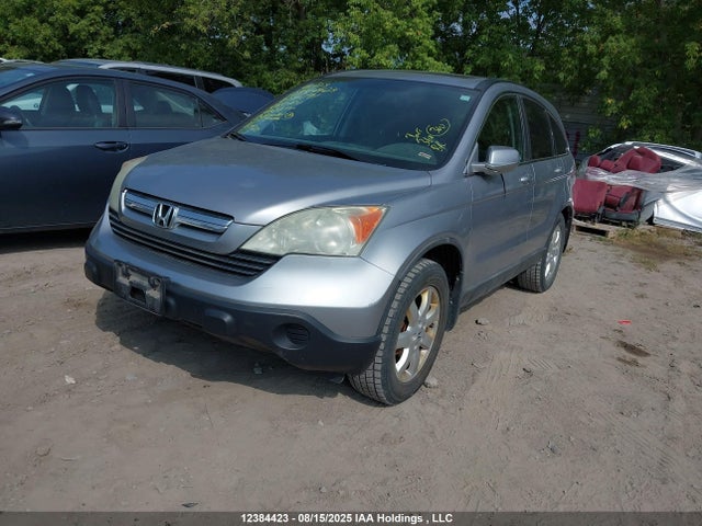 2008 Honda Cr-v Exl მანქანა იყიდება აუქციონზე, vin: 5J6RE48728L804791, აუქციონის ნომერი: 12384423