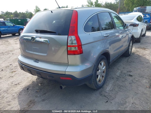 2008 Honda Cr-v Exl მანქანა იყიდება აუქციონზე, vin: 5J6RE48728L804791, აუქციონის ნომერი: 12384423