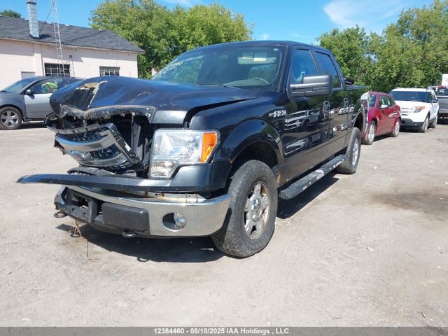 1FTFW1EF0EKG00377 Ford F-150