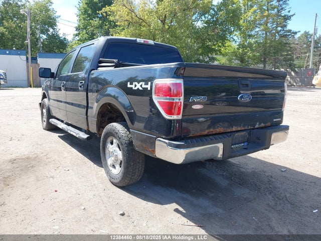 1FTFW1EF0EKG00377 Ford F-150