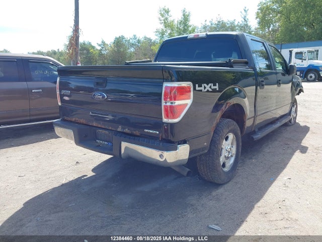 1FTFW1EF0EKG00377 Ford F-150