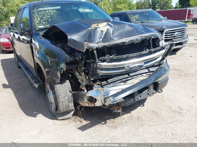 1FTFW1EF0EKG00377 Ford F-150