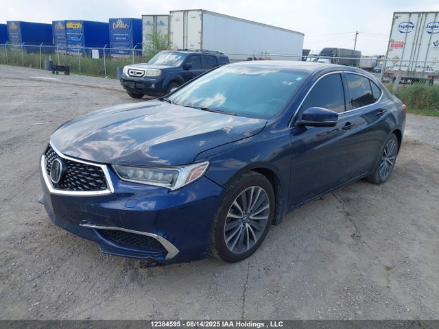 Acura j35y6 2019 19UUB3F50KA801834 Image 2