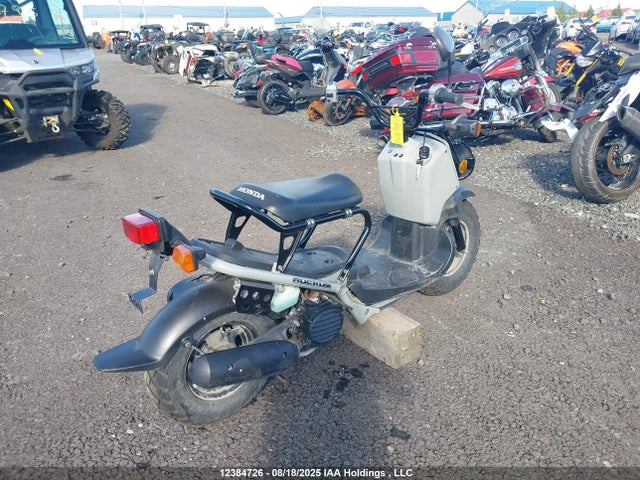 JH2AF5829PK900696 Honda 2023
