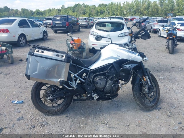Triumph 2020 2020 SMTE62DF4LT998026 Image 8