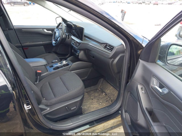 Продажа на аукционе авто 2025 Ford Escape Active, vin: 1FMCU9GN0SUA95089, номер лота: 12385024