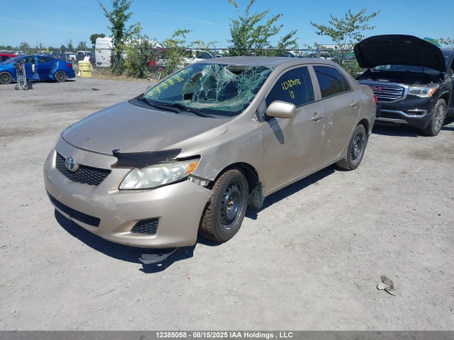 2010 Toyota Corolla Ce მანქანა იყიდება აუქციონზე, vin: 2T1BU4EE2AC218134, აუქციონის ნომერი: 12385058