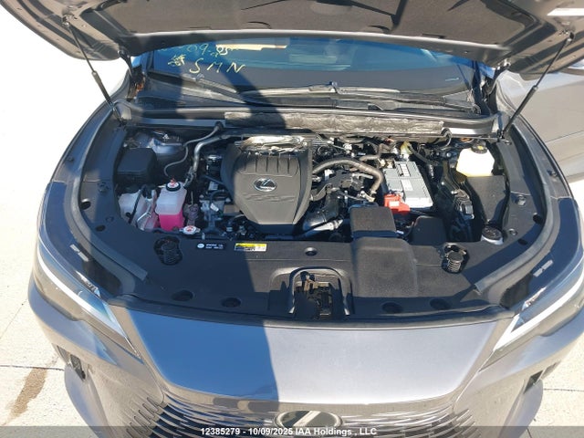 Lexus t24a-fts 2023 2T2BAMCAXPC001007 Image 10