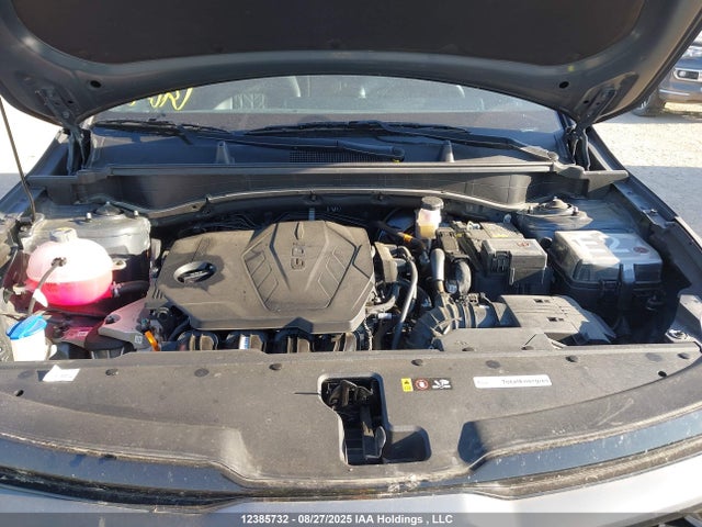 Продаж на аукціоні авто 2024 Kia Sportage Lx, vin: KNDPUCDF1R7264089, номер лоту: 12385732