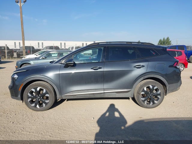 Продаж на аукціоні авто 2024 Kia Sportage Lx, vin: KNDPUCDF1R7264089, номер лоту: 12385732