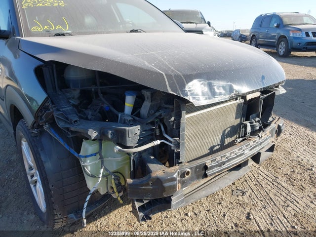 Hyundai 2016 2016 KM8J3CA24GU214338 Image 6