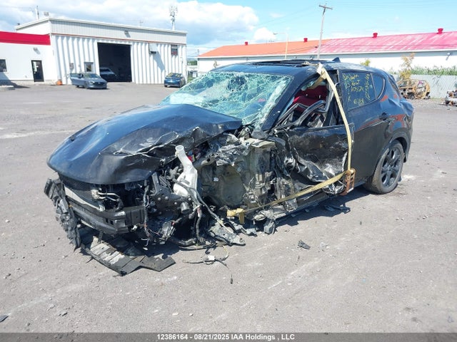 ZACNDFBN1P3A08674 Dodge 2023