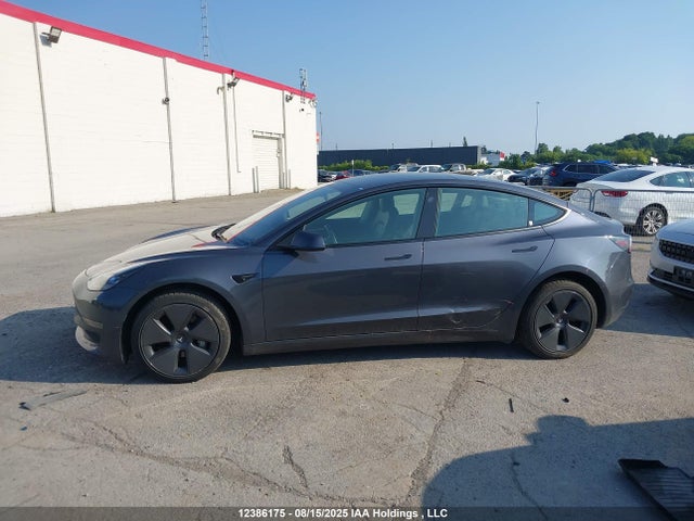 5YJ3E1EA4PF427411 Tesla MODEL 3