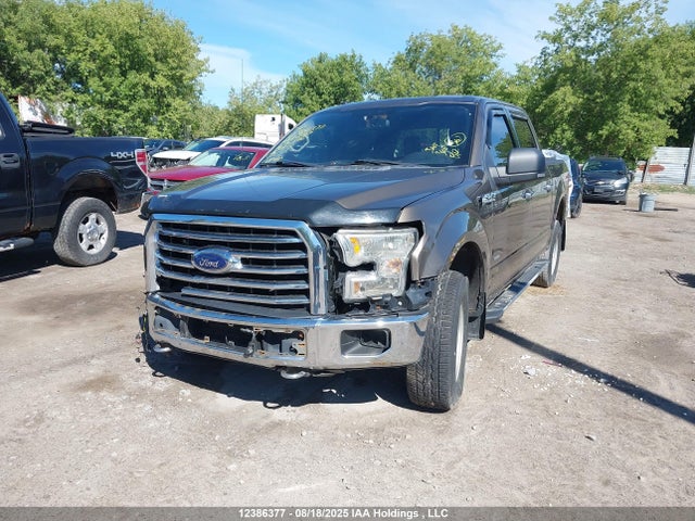 1FTEW1EG8GFB88287 Ford F-150