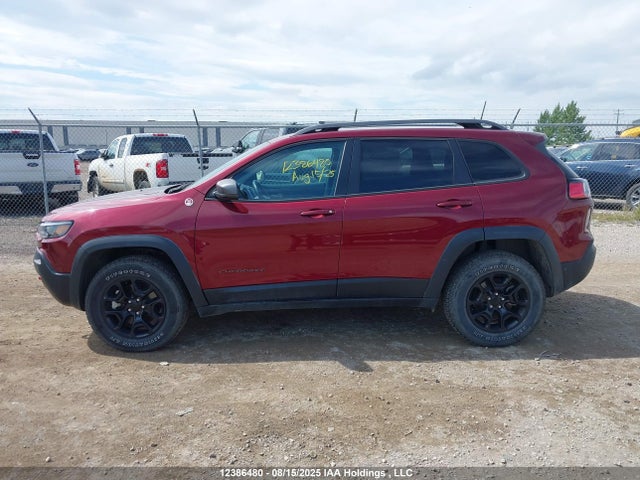 1C4PJMBX3MD176293 Jeep 2021