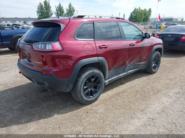 1C4PJMBX3MD176293 Jeep 2021