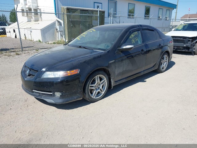 2008 Acura Tl მანქანა იყიდება აუქციონზე, vin: 19UUA66228A800221, აუქციონის ნომერი: 12386599