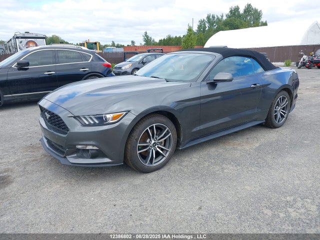 Ford 2.3l 4v premium fuel 2017 1FATP8UH2H5318729 Image 2