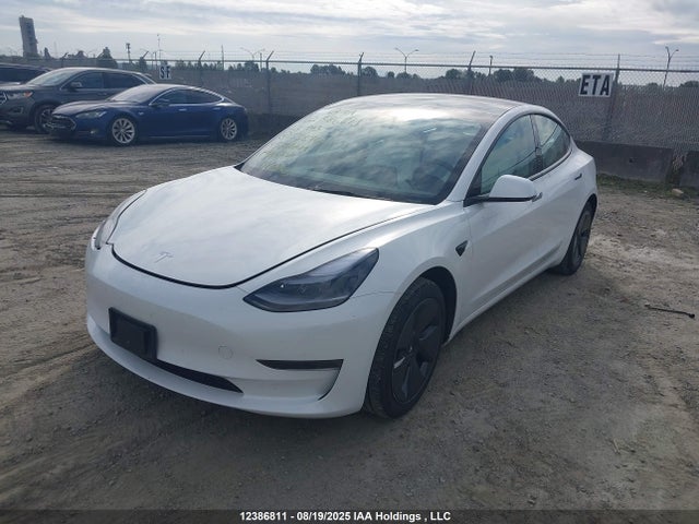 Tesla MODEL 3 2023 5YJ3E1EA5PF558704 Image 2