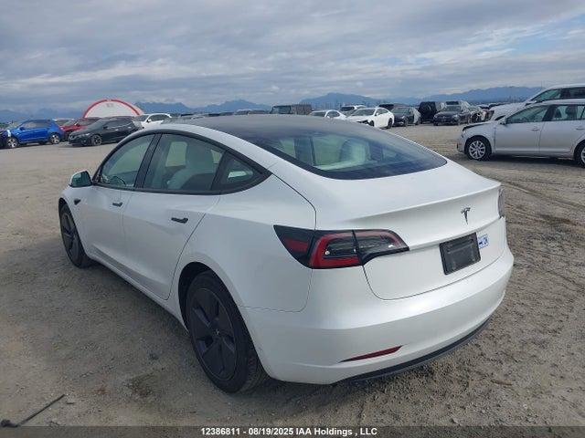 Tesla MODEL 3 2023 5YJ3E1EA5PF558704 Image 3