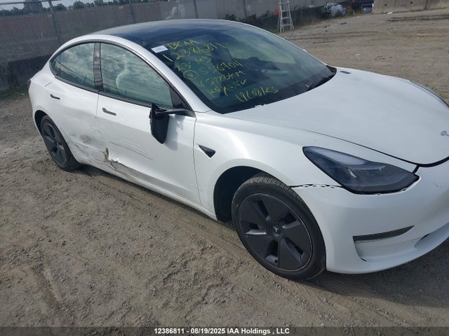 Tesla MODEL 3 2023 5YJ3E1EA5PF558704 Image 6