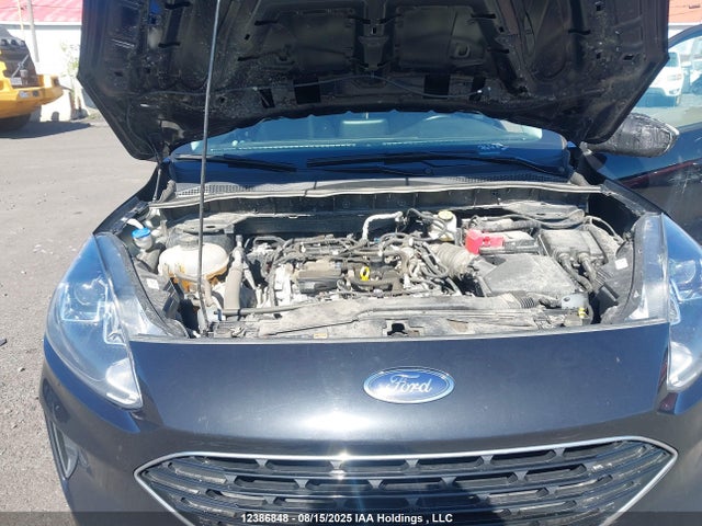 1FMCU9G6XNUB76629 Ford dragon di tc
