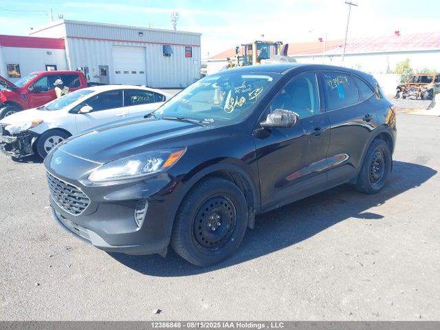 1FMCU9G6XNUB76629 Ford dragon di tc