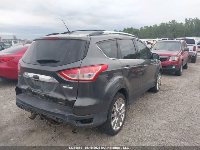 1FMCU0G99FUB66729 Ford Escape