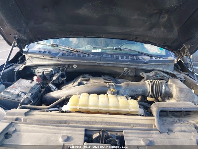 Продаж на аукціоні авто 2019 Ford F-150 Xlt, vin: 1FTEW1E42KFC67338, номер лоту: 12387045