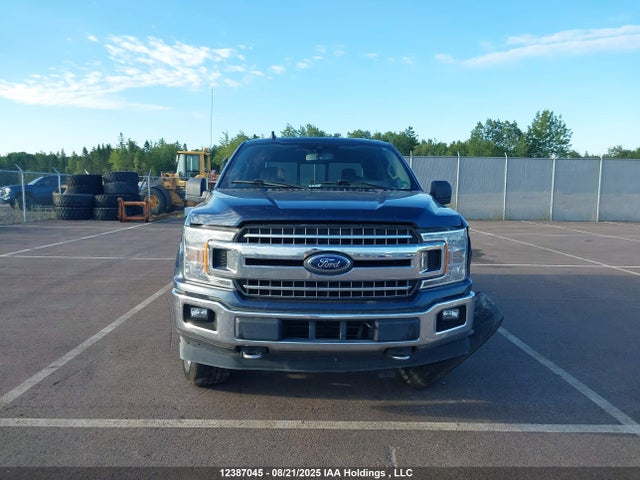 Продаж на аукціоні авто 2019 Ford F-150 Xlt, vin: 1FTEW1E42KFC67338, номер лоту: 12387045