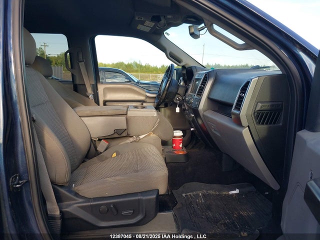 Продаж на аукціоні авто 2019 Ford F-150 Xlt, vin: 1FTEW1E42KFC67338, номер лоту: 12387045