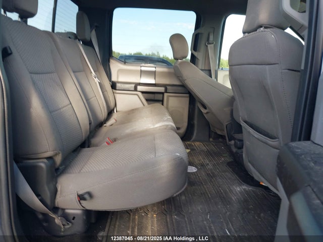Продаж на аукціоні авто 2019 Ford F-150 Xlt, vin: 1FTEW1E42KFC67338, номер лоту: 12387045