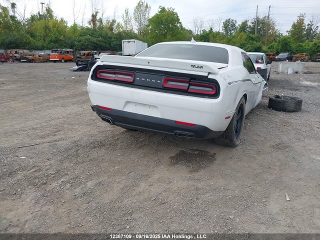 Dodge 2018 2018 2C3CDZAG7JH309578 Image 4