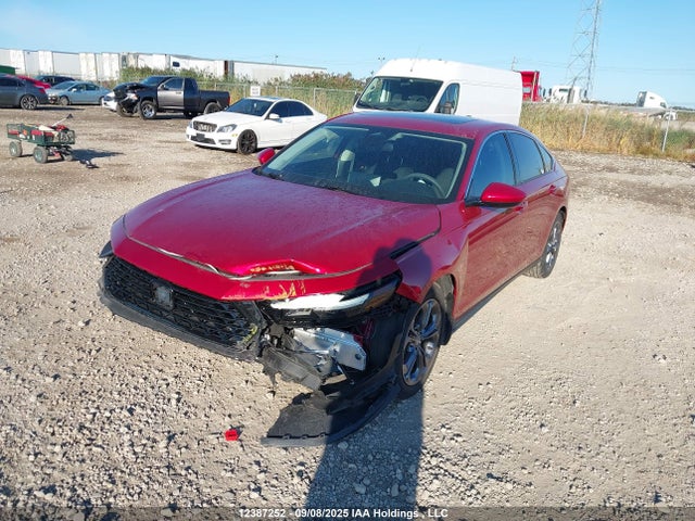 1HGCY1F33PA801170 Honda ACCORD EX