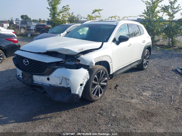 7MMVABDY5PN110456 Mazda py