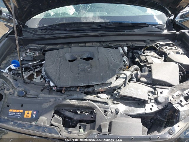 3MVDMBBM5RM702163 Mazda pyukd