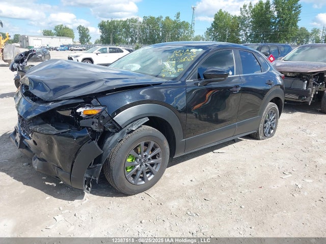 3MVDMBBM5RM702163 Mazda pyukd