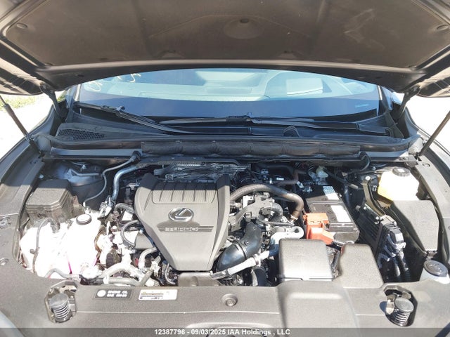 Lexus t24a-fts 2024 2T2BAMCA9RC085856 Image 10