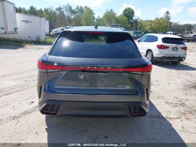 Lexus t24a-fts 2024 2T2BAMCA9RC085856 Image 17