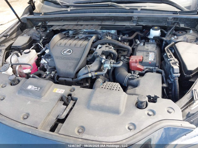 Lexus t24a-fts 2023 2T2KGCEZ1PC019066 Image 10