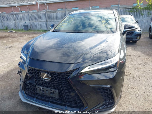 Lexus t24a-fts 2023 2T2KGCEZ1PC019066 Image 12