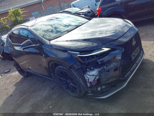 Lexus t24a-fts 2023 2T2KGCEZ1PC019066 Image 6